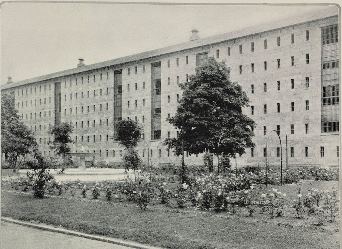 Plants for Prisons Press Release: SSPM x Teatown