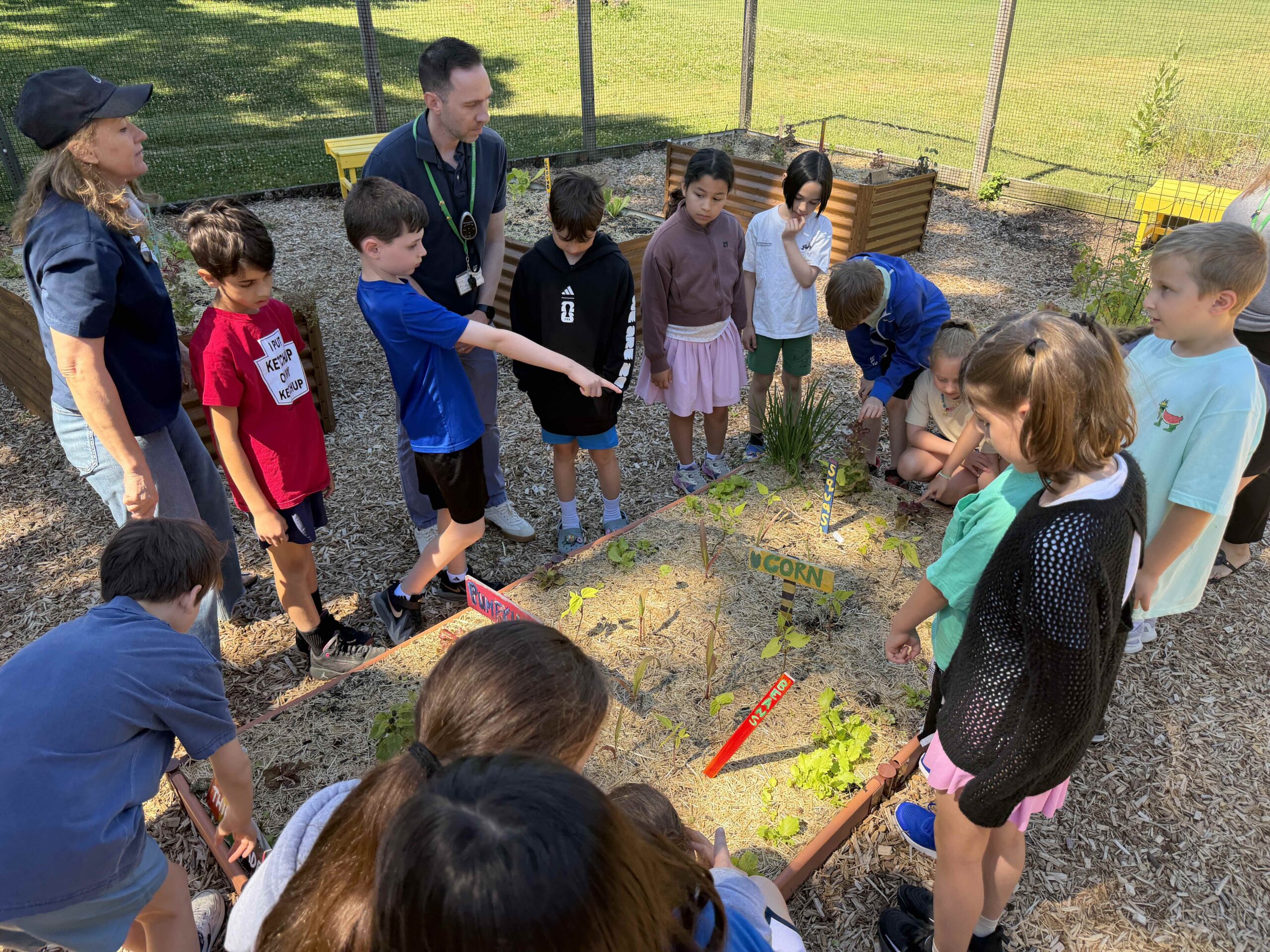 Dows Lane Elementary School Garden Improvements and Grant Support Hands-on Learning
